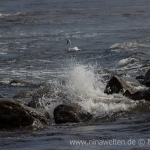 Breakers in Ottenby, Öland, Sweden