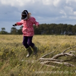 Öland nature